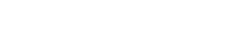 dainsight life cycle logo