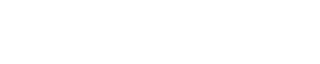logo dainsight profiles