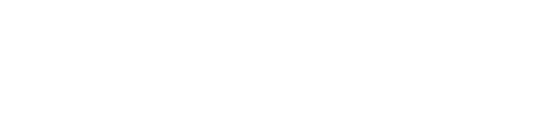 dainsight tourism